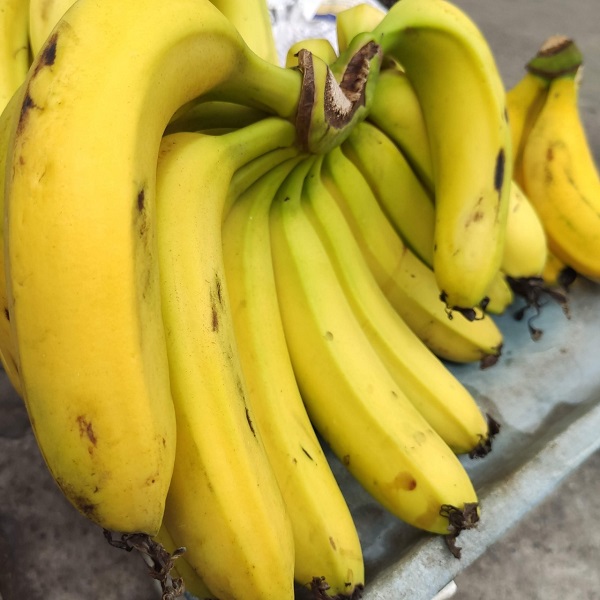 Chuối già Đà Lạt 1 kg